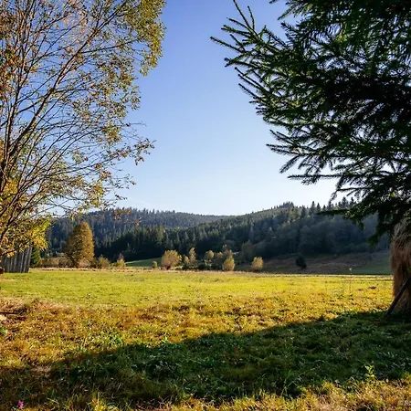 Lodge Floarea Bucovinei Vama (Suceava)